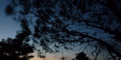 abend