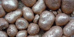 goldnuggets