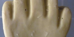 tiny-hand-lush