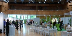 on beauty darmstadtium
