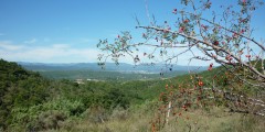 ardeche