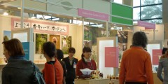 japan-pavillion
