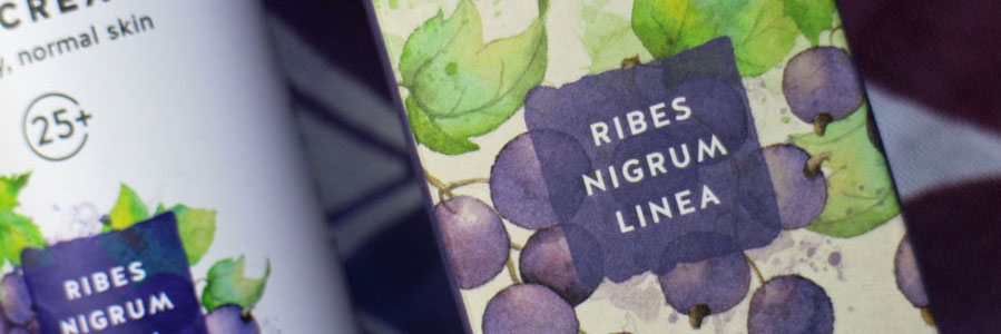 kivvi-ribes-nigrum-linea-english